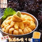 【予約販売】生ウニ 生うに 三陸産天然ムラサキウニ 塩水パック 100g 冷蔵便 雲丹 無添加 ミョウバン不使用