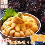 【予約販売】三陸産天然ムラサキウニ 塩水パック 100g×2 無添加 ミョウバン不使用 生うに 送料無料(中国/四国/九州/沖縄を除く)