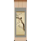 酒井抱一 十二か月花鳥図 三月 桜に雉子図 掛軸 アート 美術品 インテリア 作品 日本画 複製画 - アートの友社 ホーリ通信
