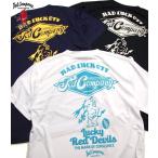 テッドマン ドライTシャツ TDRYT-2200 ドライ半袖Tシャツ エフ商会 TEDMAN 半t 吸汗速乾性 サラッと着心地良い メンズ ドライT