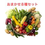 野菜セット おためし 国産野菜セッ