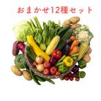 ショッピング詰め合わせ 野菜セット おためし 国産野菜セット 野菜詰め合わせ 12種類入り フードロス お買い得 新鮮 野菜 果物 母の日 敬老の日 こどもの日 旬の野菜 新鮮野菜セット