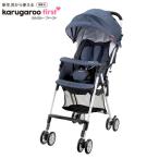  бесплатная доставка Ricci .ru коляска karuga Roo First RS индиго Denim ID