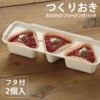 リッチェル　つくりおき わけわけフリージングパック 100　 2セット入　IV