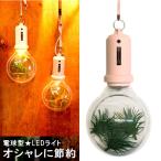 東洋ケース　ポケットライト　バルブチェリー　PLB-03