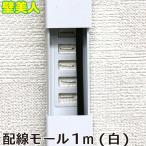 ÊÉÈþ¿Í ÇÛÀþ¥â¡¼¥ë 1£í (Çò)¡ÚCC1MW¡Û¡Ú¥Í¥³¥Ý¥¹ÈóÂбþ¡Û[¥Û¥ï¥¤¥È/Êɤò¥¥º¤Ä¤±¤Ê¤¤/Êɤ˷ê¤ò³«¤±¤Ê¤¤/ÇÛÀþ¥«¥Ð¡¼