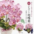  elegant . бабочка орхидея дизайнерский организовать CT катализатор a-tifi автомобиль ru цветок подарок праздник подарок подарок День матери 