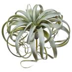 ascaキセログラフィカ花材造花A...