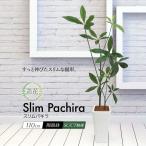 ショッピングお祝い フェイクグリーン 大型 人工 観葉植物 造花 スリムパキラ 110cm 鉢植 光触媒 CT触媒 おしゃれ リアル お祝い 贈り物