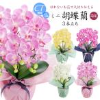 母の日 花 ギフト プレゼント 造花 ミニ胡蝶蘭 3本立 CT触媒 開店 開院 お祝い 光触媒