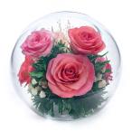 ドライフラワー ガラスドーム バラ 薔薇 お祝い お供え 仏 プレゼント ギフト 母の日 / グラスウェアフラワー ローズ ラウンドスフィア M ピンク レッド
