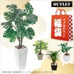 福袋 2026 フェイクグリーン 人工観葉植物 大型 おしゃれ 光触媒 消臭 インテリア ハッピーバッグ 送料無料 / 福袋 Bタイプ 4点セット
