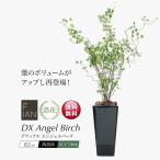 フェイクグリーン 人工 観葉植物 造花 大型 FIAN DXエンジェルバーチ 82cm 鉢植 光触媒 CT触媒 インテリア リアル おしゃれ