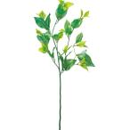  leaf спрей FG-2930