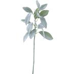  Ram z year Short зеленый FG-4569GR