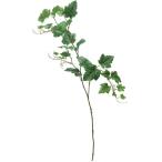  серый p leaf b ланч зеленый FG-4664GR