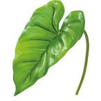  Mini цвет Lilly leaf зеленый FG-4693GR