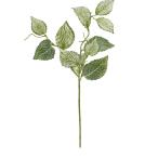 fitonia спрей белый зеленый FG-4770WG