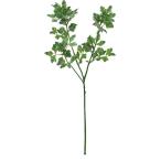  петрушка темно-зеленый FG-4803DGR