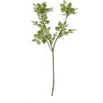  петрушка зеленый FG-4803GR