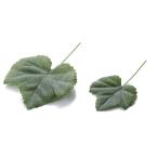  серый p ivy 24P зеленый FLP-0021GR