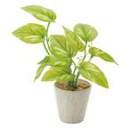  Mini poto спот зеленый GLA-1301GR