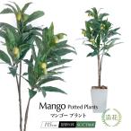 ショッピングマンゴー フェイクグリーン 観葉植物 人工観葉植物 大型 光触媒 リアル トロピカル フルーツ 造花 インテリア おしゃれ / マンゴープラント 樹脂鉢S 全高115cm