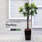 フェイクグリーン 大型 人工 観葉植物 造花 パキラ 125cm 鉢植 光触媒 CT触媒 インテリア リアル おしゃれ