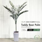フェイクグリーン 観葉植物 人工観葉 大型 光触媒 造花 テディベアパームツリー 140cm 鉢植 フェザーパーム ラステリア インテリア リアル 消臭 おしゃれ