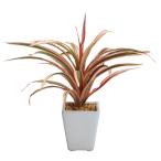 フェイクグリーン 観葉植物 人工観葉 卓上 ミニ 小さい 光触媒 造花 キモかわドラセナポット 陶器鉢 インテリア おしゃれ お祝い F3961 母の日