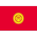 22994 国旗 キルギスタン L版 素材：トロピカル サイズ：W750mm×H500mm ※お取寄商品