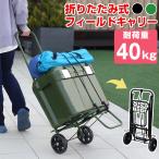 (大特価セール)キャリーカート 折りたたみ フィールドキャリー 耐荷重40kg FCR-40L(送料無料）JEJアステージ 大型 台車 ハンドキャリー 持ち運び