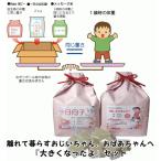 じいじとばあばへ 1歳の成長を実感 一升餅とお米で重さを表現 一升餅セット お祝い 丸餅 個包装 小分け 送料無料(沖縄・九州除く)