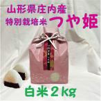 令和７年産 山形県庄�