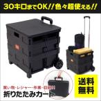 ふた付き 折りたたみキャリーカート キャスター付き レジャー アウトドア 普段のお買い物に 最大積載量:30kg 容量約41L ブラック アズーリ