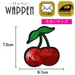 ワッペン スパンコール 縦7.5cm×横6.7cm さくらんぼ(大) チェリー アイロン貼付け可能 バッグやiPhoneケースをオリジナルに ハンドメイド 手芸 メール便