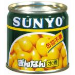 サンヨー堂　銀杏　８５ｇ×４８個