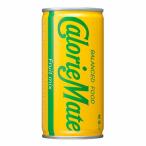 【2ケース】大塚製薬　カロリーメイトリキッド　フルーツミックス味　200ｍｌ×30本×2箱