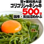 めかぶ 三陸産 500g お買得 お試し 無添加 国産 メカブ