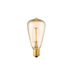 白熱電球 E17/40W カーボン電球 ST48 フ