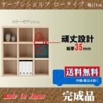 本棚 008 ロータイプ 110cm幅 エリーゼアッシュ色 オープンシェルフ 完成品 日本製 フリーラック 収納家具 本収納 本棚 書棚 究極のシンプルデザイン