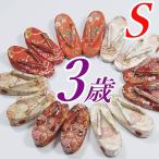 新品 七五三 ３才 草履単品商品です アウトレット三歳 祝着 三歳 草履 単品 七五三草履 訳あり a5 アウトレット草履 日本製品 安い 送料無料 在庫処分 Sサイズ