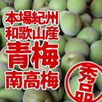 Yahoo! Yahoo!ショッピング(ヤフー ショッピング)本場和歌山県産 紀州南高梅 青梅 秀品 5kg（M〜3Lサイズ混合）