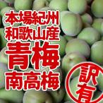 南高梅 青梅 生梅 和歌山産 訳あり 5kg(3L以上〜Lサイズ混合)