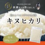 Yahoo! Yahoo!ショッピング(ヤフー ショッピング)令和4年産新米 お試し 送料無料 和歌山県産 赤津直基さんのキヌヒカリ 500g メール便 ポイント消化