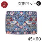  коврик перед дверью Mini размер 45×60cm Mini коврик клубника грязь палка William Maurice коврик для ванной темно-синий модный симпатичный меньше коврик салон закрытый коврик ...328606