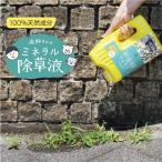 除草 雑草対策 除草剤 除草液 塩 園芸 園芸用品 ガーデニング 100% 天然成分 環境に優しい 334137