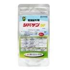 芝生用除草剤 シバゲンDF 20g入 農薬 ドライフロアブル 専用計量スプーン付 ゴルフ場 ゆうパケット対応 送料275円