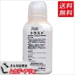 ヒアリ駆除 アルゼンチンアリ イエ�