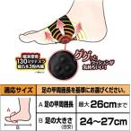 ピップ エレキバン 足裏バンド （２４〜２７CM） 磁気治療器 足 足裏 こり はり つけている間効果が持続　（内容量:2個入り）　配送種別：MR